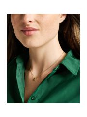 סט שרשרת ועגילים של Fossil  דגם JF04881SET