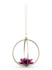 קריסטל SWAROVSKI סדרה GARDEN TALES: דגם 5557805