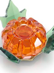 קריסטל מגנטי מבית SWAROVSKI קולקציית GARDEN TALES דגם 5594492