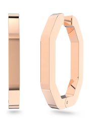 עגילים מבית SWAROVSKI קולקציית Collection III, Dextera דגם 5634992