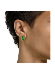 עגיל מבית SWAROVSKI קולקציית MILLENIA דגם 5638489