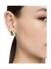 עגיל מבית SWAROVSKI קולקציית MILLENIA דגם 5638489