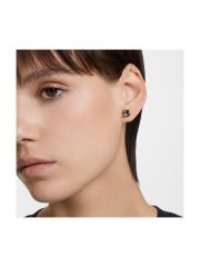 עגילים מבית SWAROVSKI קולקציית MILLEMIA דגם 5642511