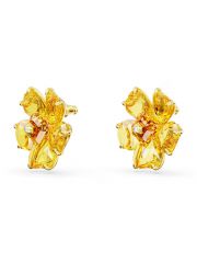 עגילים מבית SWAROVSKI קולקציית FLORERE דגם 5650571