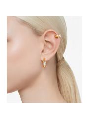 עגילים מבית SWAROVSKI קולקציית DEXTERA דגם 5663262