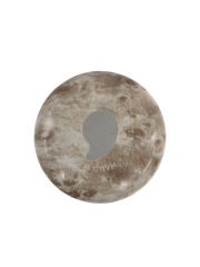 בקבוק S’WELL מקולקציית Wood