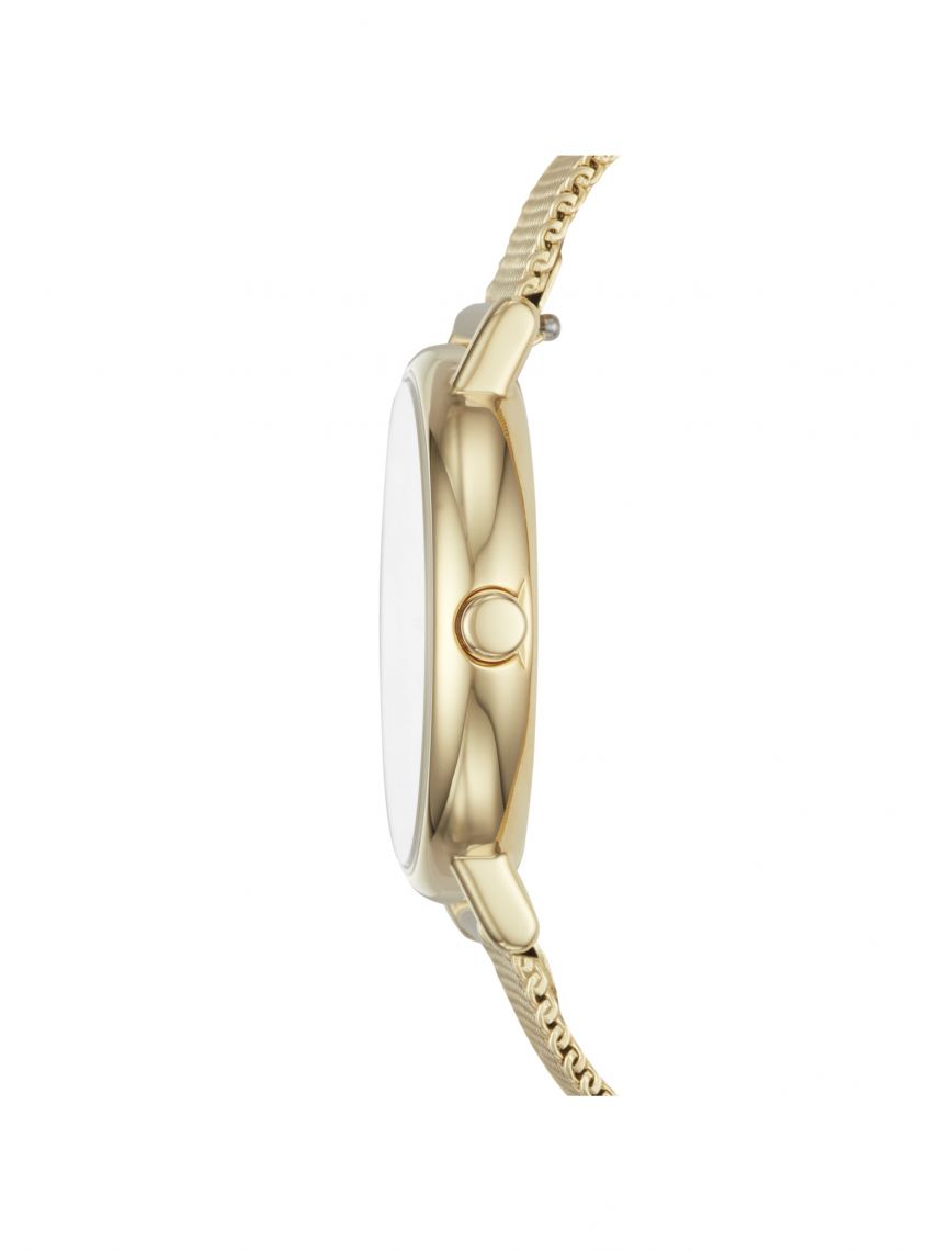 שעון SKAGEN דגם SKW2693